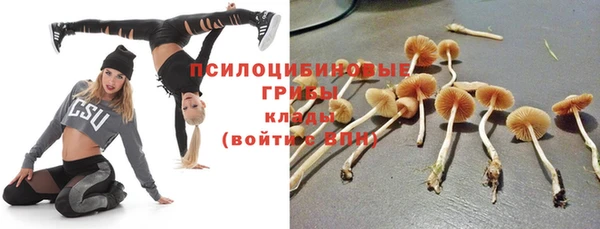 сатива Михайлов