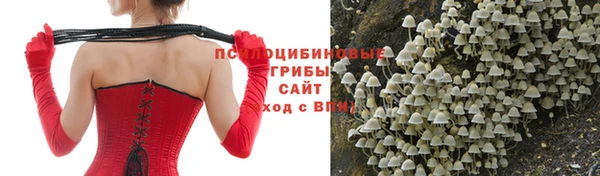 бутират Михайловка
