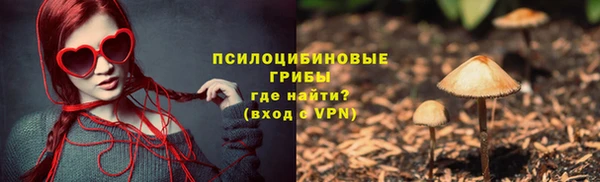 сатива Михайлов