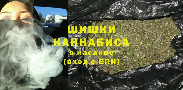 сатива Михайлов