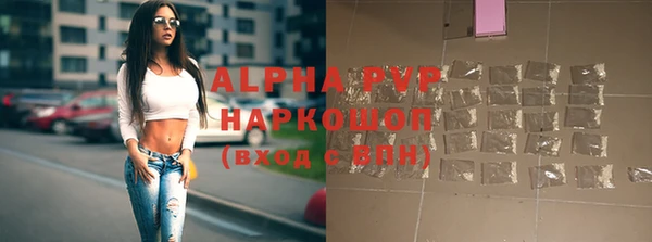 сатива Михайлов