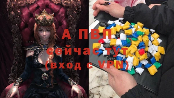 СК Михайловск
