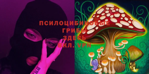 сатива Михайлов